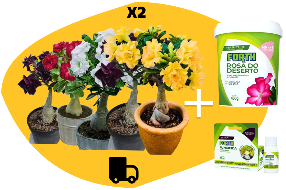 Kit - 10 Rosas do Deserto + Fertilizante + Fungicida + Manual